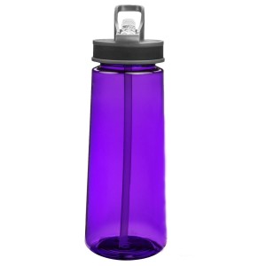 22oz Sports Water Bottles With Straw - Purple